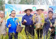 Wali Kota Prabumulih Panen Padi Gogo Program Ketahanan Pangan 2026