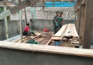 Cilik Namun Tangguh: Anak-Anak Petoaha Ikut Bahu-Membahu Sukseskan TMMD ke-127  ​