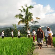 Maharasa Gastronomy Experience Angkat Spiritualitas Pangan dan Tradisi Luhur Bali