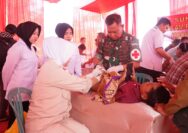 TMMD ke-128 di OKI: Layanan Kesehatan Gratis dan Kebangkitan UMKM Desa