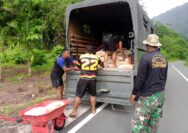 Satgas TMMD ke-128 Biak Numfor Percepat Pembangunan, Turunkan Material Semen untuk Rumah Warga