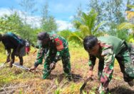 Semangat Gotong Royong, Satgas TMMD Kodim 1710/Mimika Buka Lahan Pertanian Bersama Warga
