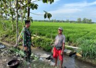 Curhatan Datam petani Senior Pelemgadung ke anggota Satgas TMMD