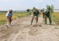 Satgas TMMD ke-128 Kodim 0718/Pati Ratakan Badan Jalan Supaya Perhalus sebelum ke tahap pengecoran