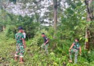 Target Selesai Tepat Waktu, Pekerjaan Jalan 1,5 Km di Sumba Barat Daya Berlanjut