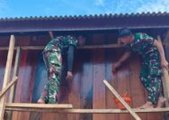 Rumah Nikodemus Awaiti Mulai Dicat, Progres Pembangunan Semakin Nyata