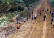 Semangat Tanpa Henti, Hari ke-10 Satgas TMMD Kodim 0402/OKI Genjot Pembukaan Jalan