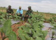 Komsos di Lahan Pertanian, Hangatnya Kebersamaan Satgas TMMD dan Petani di Desa Godo