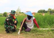 “Langkah di Tanah Desa, Mengalirkan Harapan , Ketika Dansatgas TMMD Menyapa Hingga Menghidupkan Senyum Warga”
