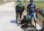 Wadan Satgas TMMD Reguler ke-128 Cek Pekerjaan Betonisasi, Pastikan Kualitas dan Progres Sesuai Target