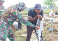 Air yang Mengalir, Harapan yang Tumbuh di Desa Godo