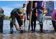 Bersatu Dengan Alam, Satgas TMMD Kodim 1710/Mimika Tanam Ribuan Bibit Mangrove