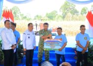 Hadiri Panen Raya Jagung di OKU Selatan, Wagub Cik Ujang Tegaskan Komitmen Sumsel Dukung Ketahanan Pangan Nasional