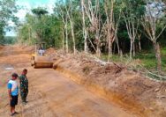 TMMD Ke-128 Kodim 0402/OKI, Progres Pembangunan Jalan di Desa Pematang Sukatani Hampir Rampung 100 Persen