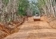 Satgas TMMD dan Warga Kebut Pembangunan Jalan 6 Kilometer di Desa Pematang Sukatani