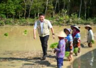 Gubernur Herman Deru Optimistis Sumsel Masuk 2 Besar Nasional Produksi GKG 2026