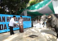 Wujud Syukur Iduladha 1477 H, Polda Sumsel Salurkan Ratusan Hewan Qurban hingga ke Pelosok