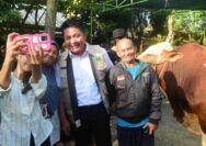 Presiden Prabowo Subianto Salurkan 18 Sapi Kurban untuk Sumsel, Herman Deru Pastikan Tepat Sasaran bagi Mustahik