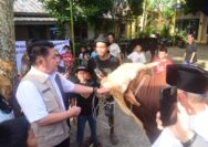 Gubernur Herman Deru Salurkan Sapi Kurban 1,3 Ton untuk Masjid Agung Palembang, Tekankan Kepedulian kepada Mustahik