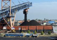 Geliat Bisnis Batu Bara Menguat di Triwulan II, Kinerja KAI Logistik Lampaui Target