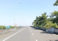 Pelindo Sinergi Lokaseva Group Kawal Persiapan Pra-Operasi Fly Over Teluk Lamong
