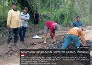 Pemkab Muba Gerak Cepat, Jalan Rusak Sekayu-PALI Ditimbun