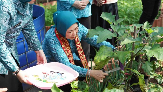 Ketua TP PKK Sumsel Feby Herman Deru Tinjau Program PKK OKU Selatan, dari Budidaya Jamur hingga Sulam Benang Emas