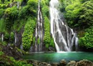Selain Lovina: Tempat Menginap Terbaik di Bali Utara untuk Setiap Jenis Wisatawan