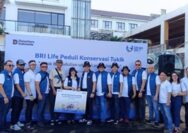 BRI Life Gelar Pelepasan Tukik, Dukung Konservasi Penyu di Pantai Kuta Bali