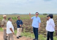 Dukung Program Mandiri Energi Nasional, Holding Perkebunan Nusantara Siapkan 10 Ribu Hektare Lahan Singkong di Lampung