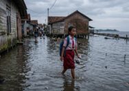 Anak-Anak Pesisir Membayar Harga Termahal dari Krisis Iklim